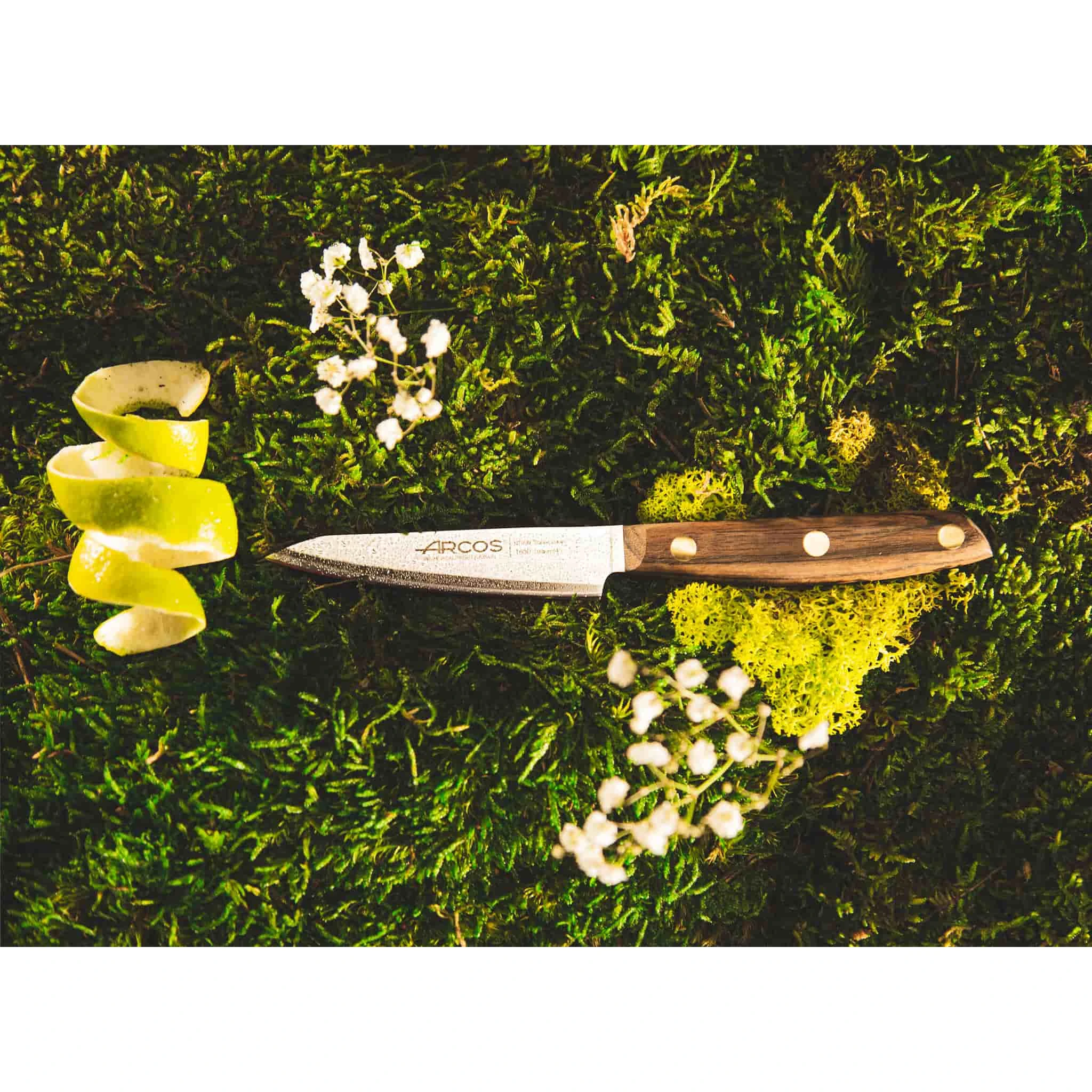 Arcos Nordika Paring Knife 10cm - Image 3