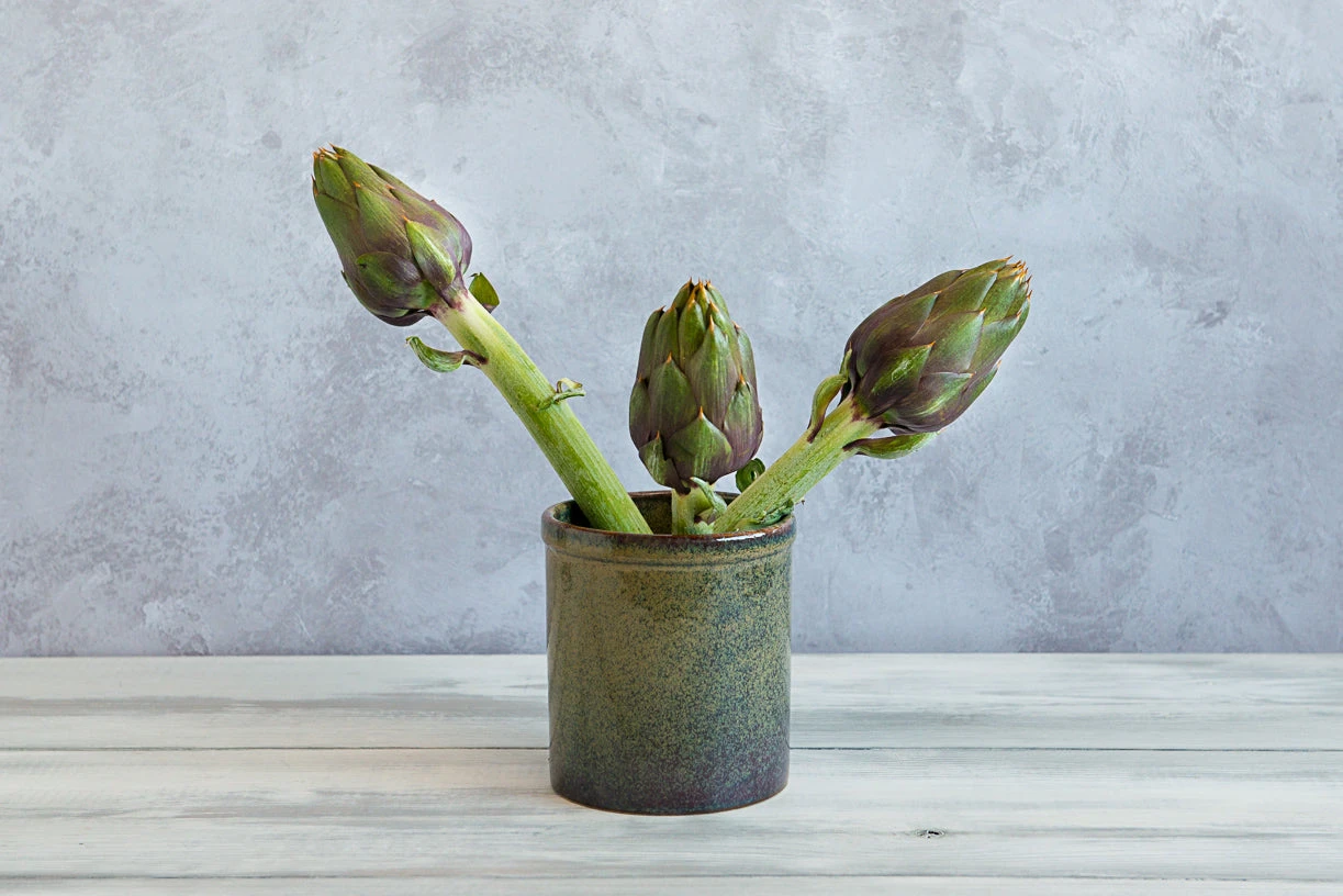 Lagoa Kitchen Utensils Jar - Image 6